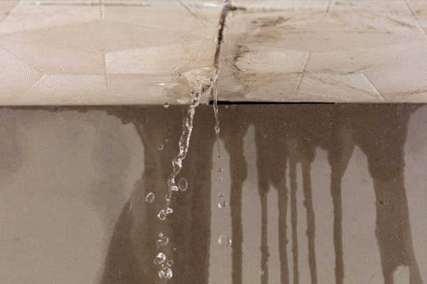 Professional Burst Pipe Cleanup technician working in Helen, WV